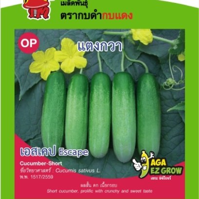 แตงกวา เอสเคป ซ. 3g