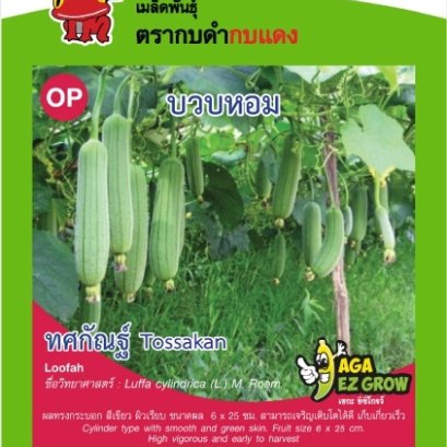 บวบหอมทศกัณฑ์ ซ. 2g