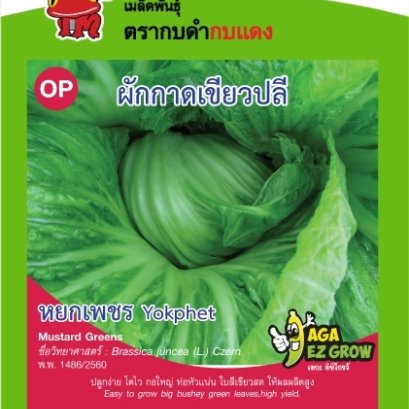 ผักกาดเขียวปลี หยกเพชร ซ. 10g