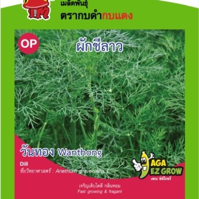 ผักชีลาว วันทอง