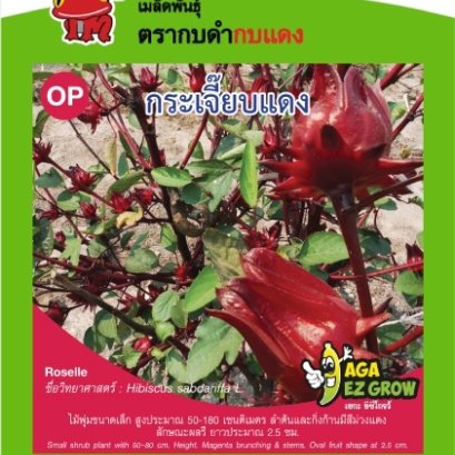 กระเจี๊ยบแดง