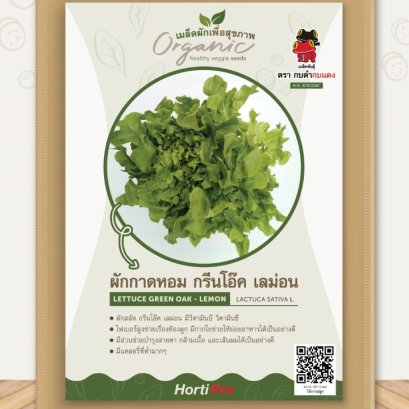 ผักเพื่อสุขภาพ กรีนโอ๊ค