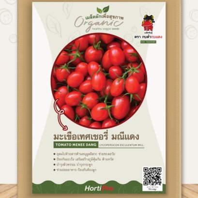 ผักเพื่อสุขภาพ มะเขือเทศเชอรี่ มณีแดง