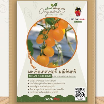 ผักเพื่อสุขภาพ มะเขือเทศเชอรี่ มณีจันทร์