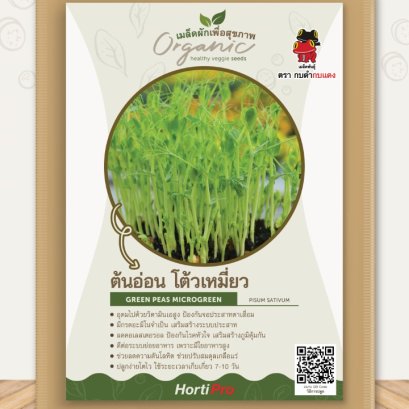 ผักเพื่อสุขภาพ ต้นอ่อนโต้วเหมี่ยว