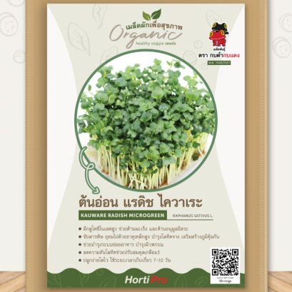 ผักเพื่อสุขภาพ ต้นอ่อนหัวไชเท้า ไควาเระ