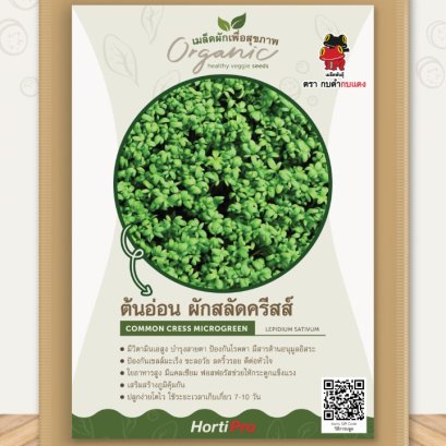 ผักเพื่อสุขภาพ เครส