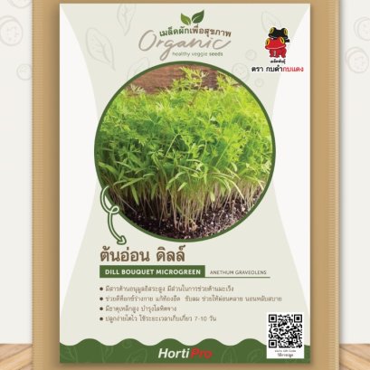 ผักเพื่อสุขภาพ ผักชีฝรั่ง