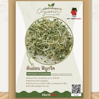 ผักเพื่อสุขภาพ ต้นอ่อนลูกซัด ฟีนูกรีก