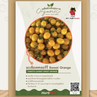 ผักเพื่อสุขภาพ มะเขือเทศเชอรี่ สวีท ออเรนจ์