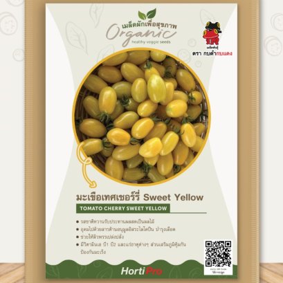 ผักเพื่อสุขภาพ มะเขือเทศเชอรี่ สวีท เยลโล่
