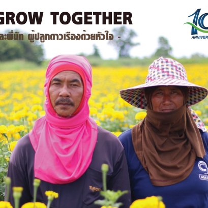 มือโปรดาวเรือง ประจำจังหวัดพิษณุโลก พี่ดำและพี่นัท ผู้ปลูกดาวเรืองด้วยหัวใจ l The Grow Together EP.1