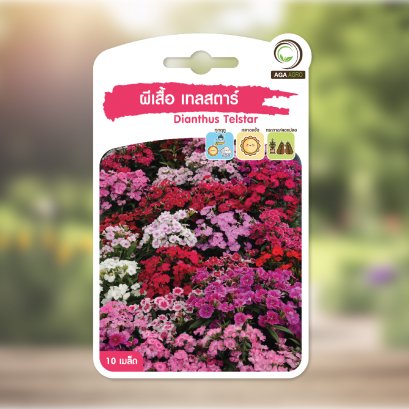 ผีเสื้อ เทลสตาร์