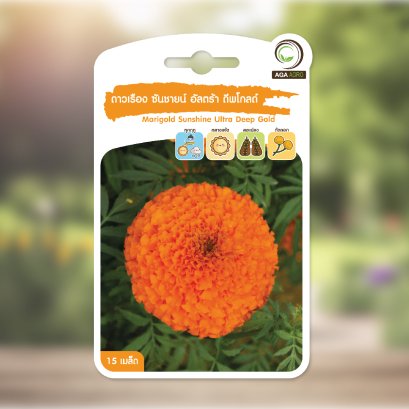 ดาวเรือง ซันชายน์ อัลตร้า ดีพโกลด์