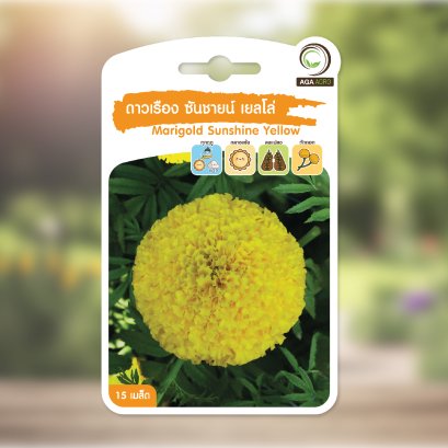 ดาวเรือง ซันชายน์ เยลโล่