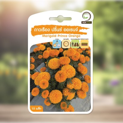 ดาวเรือง ปริ้นซ์ ออเรนจ์