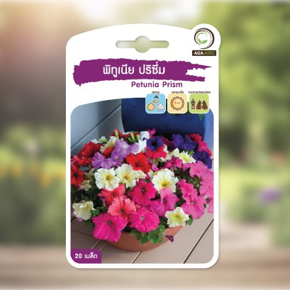 พิทูเนีย ปริซึม