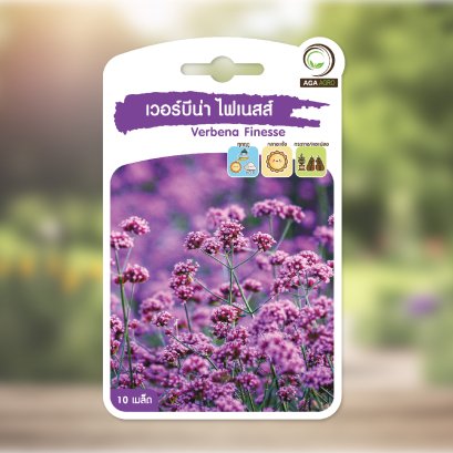 เวอร์บีน่า ไฟเนสส์