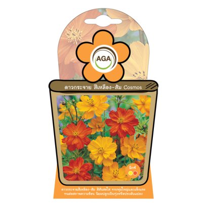 ดาวกระจาย สีเหลือง-ส้ม มิกซ์