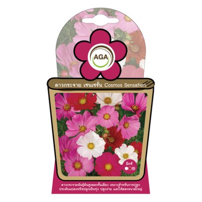 ดาวกระจาย เซนเซชั่น มิกซ์