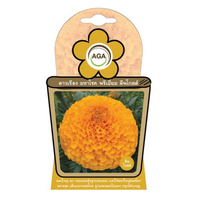 ดาวเรือง มหาโชค พรีเมี่ยม ดีพโกลด์