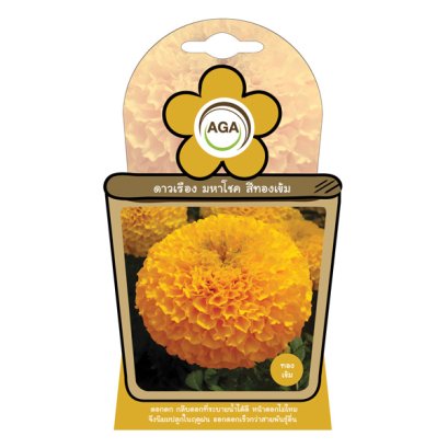 ดาวเรือง มหาโชค สีทองเข้ม