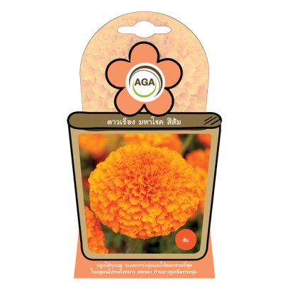 ดาวเรือง มหาโชค สีส้ม