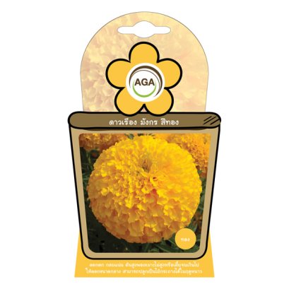 ดาวเรือง มังกร สีทอง