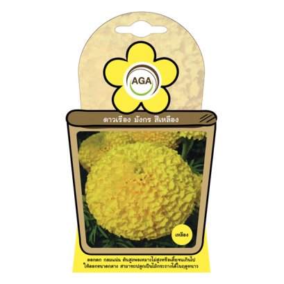 ดาวเรือง มังกร สีเหลือง