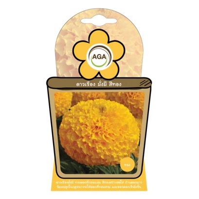 ดาวเรือง มั่งมี สีทอง