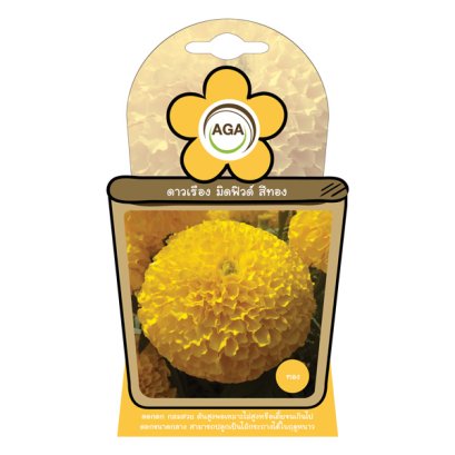 ดาวเรือง มิดฟิลด์ สีทอง