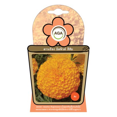 ดาวเรือง มิดฟิลด์ สีส้ม