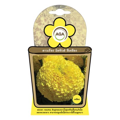 ดาวเรือง มิดฟิลด์ สีเหลือง