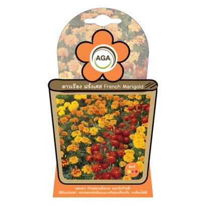 ดาวเรือง ฝรั่งเศส มิกซ์