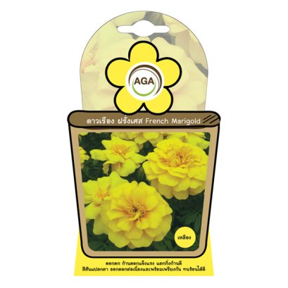 ดาวเรือง ฝรั่งเศส สีเหลือง