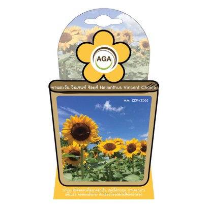 ทานตะวัน วินเซนท์ ช้อยส์