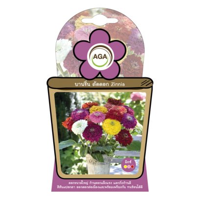 บานชื่น ตัดดอก มิกซ์