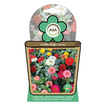 บานชื่น ต้นสูง มิกซ์