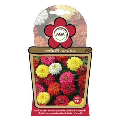 บานชื่น มินิ มิกซ์