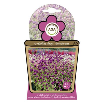 บานไม่รู้โรยต้นสูง มิกซ์