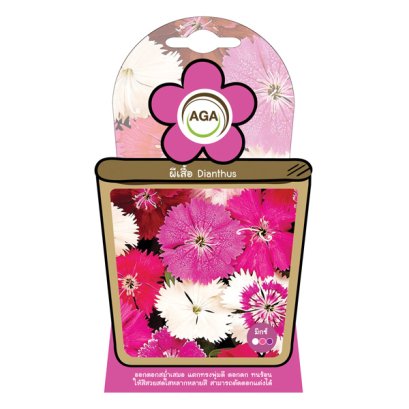 ผีเสื้อ มิกซ์