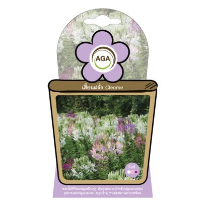 เสี้ยนฝรั่ง มิกซ์