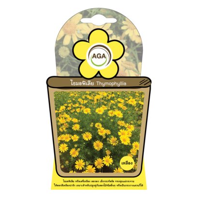 ไธมอฟิเลีย สีเหลือง