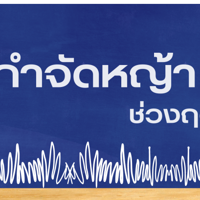 วิธีการกำจัดหญ้าช่วงหน้าฝน