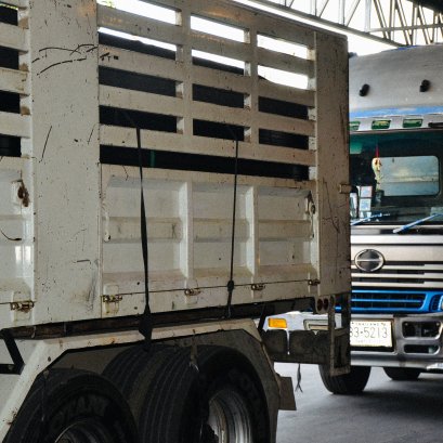 บริการจัดส่งด้วยรถของบริษัท