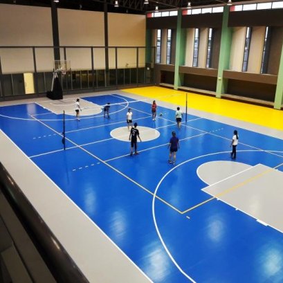 Polyurethane Rubber  :  Polyurethane Rubber Sport Surface (Thickness 2.0-7.0 mm.)