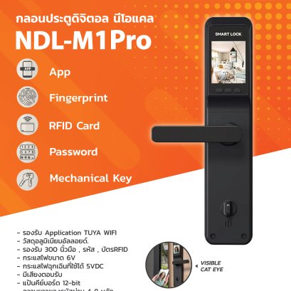 บทความหน้าแรก