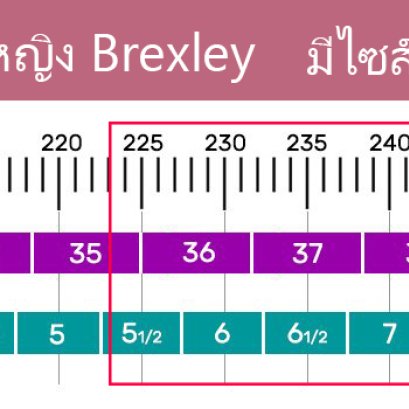 การวัดไซส์
