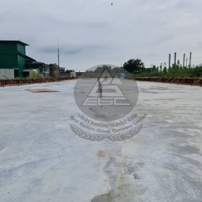 บ่อสาหร่าย หนองใหญ่ 