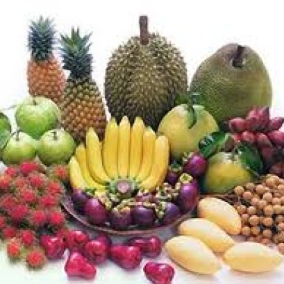 การบำบัดรักษาโรคเป็นหน้าที่ของหมอ